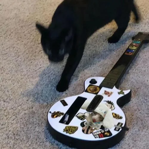 我撕裂我的身体-MISTERK&Tphunk