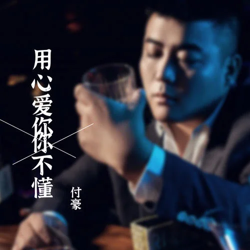 用心爱你你不懂(DJ伟然版)-付豪