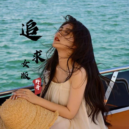 追求 (DJ版)-野哥