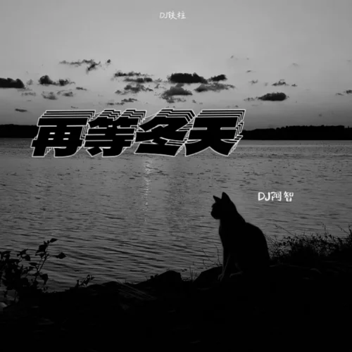 再等冬天 (DJ阿智)-DJ铁柱