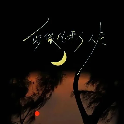你像風(fēng)來了又走-徐子堯
