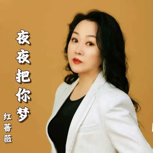 夜夜把你夢-紅薔薇