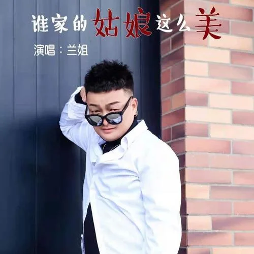 誰家的姑娘這么美（DJ版）-蘭姐