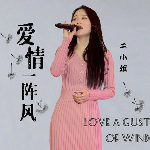 爱情一阵风-二小姐
