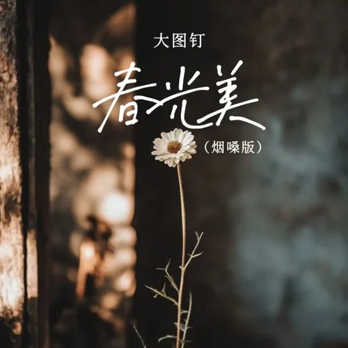 春光美 (煙嗓版)-大圖釘