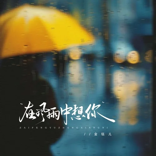 在風(fēng)雨中想你（DJ京仔版）-金鈺兒