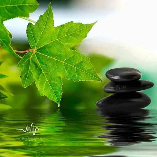 浮光(古箏冥想)-養(yǎng)生音樂盒