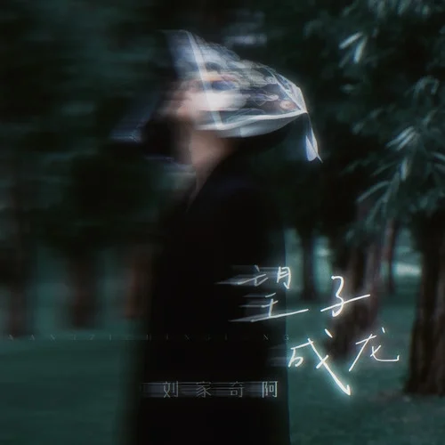 望子成龙-刘家奇阿