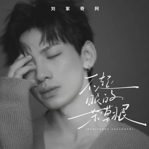 不起眼的杂草根-刘家奇阿