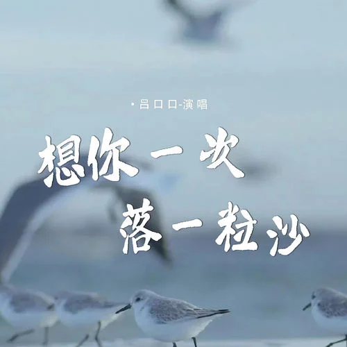 想你一次落一粒沙-吕口口