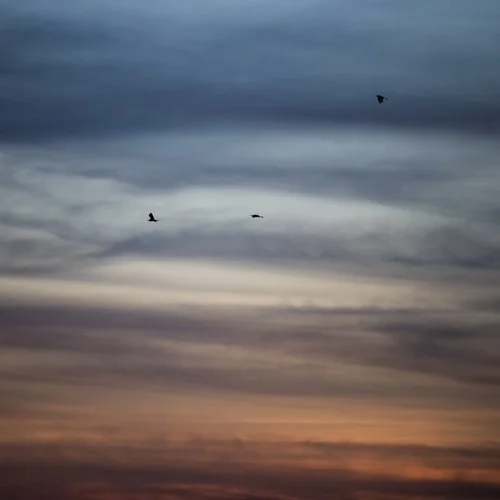 關(guān)不上的窗 (R&B男版)-周菲杰