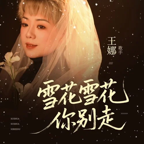 雪花雪花你别走（DJ版）-陈子夜&王娜