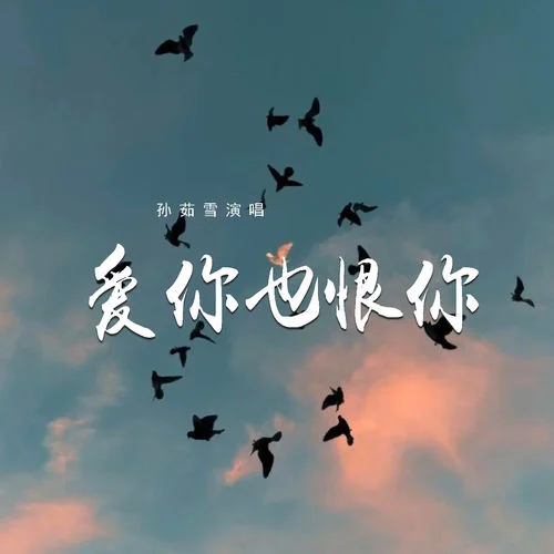 愛你也恨你-孫茹雪