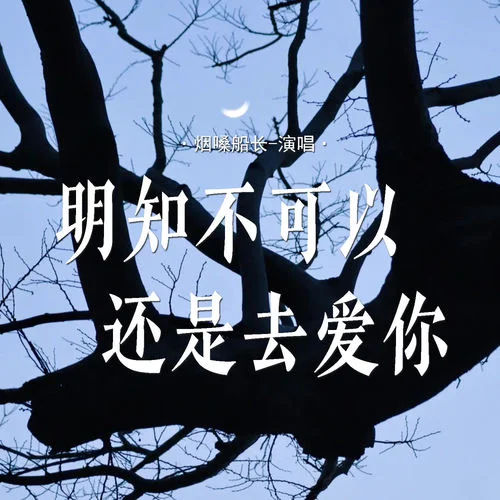 明知不可以还是去爱你-烟嗓船长