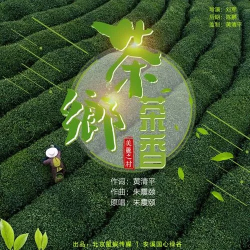 茶鄉(xiāng)茶香-朱震頤