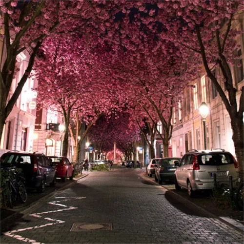 精衛(wèi)（DJ版）-一只傻M爺