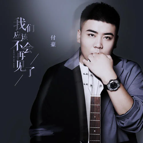 我們應該不會再見了-付豪