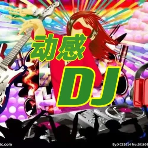 豆包 - 此生過(guò)半 (DJ阿卓版)-夜星河