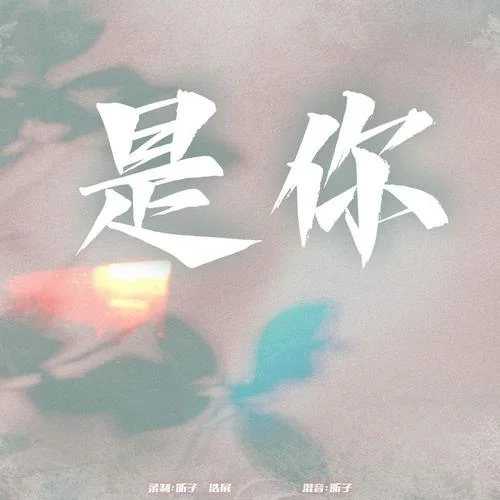 是你 (张靓颖 王赫野版)-&