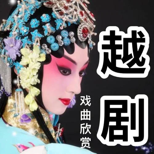 越劇全劇《王老虎搶親》1-酒酒有聲