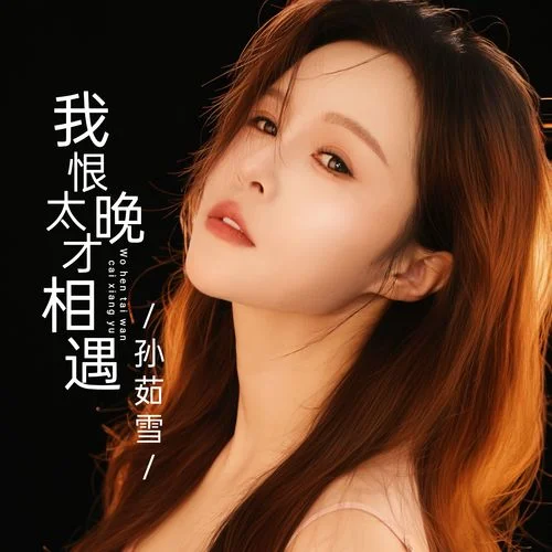 我恨太晚才相遇-孫茹雪