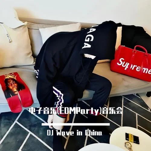 巴巴貝斯 The Bass-DJ Wave