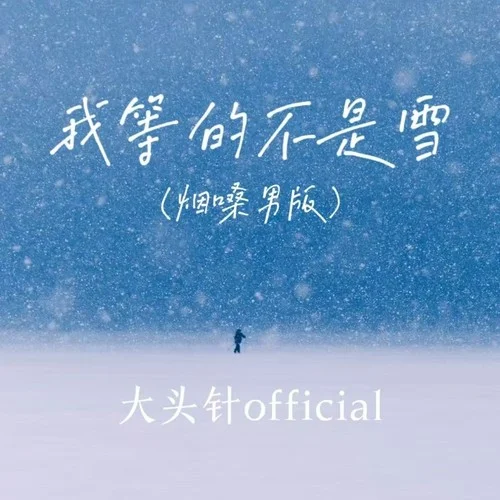 我等的不是雪 (煙嗓男版)-大頭針 Official