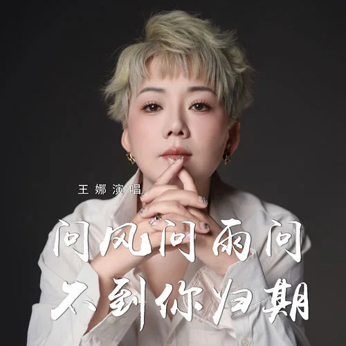 問風問雨問不到你歸期-王娜