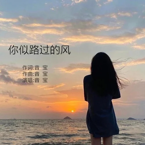 你似路過(guò)的風(fēng)-音寶