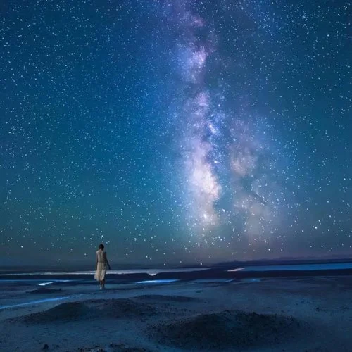 山水 – bankyya-麥兜