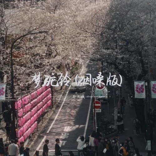 梦驼铃 (烟嗓版)-郑大钱