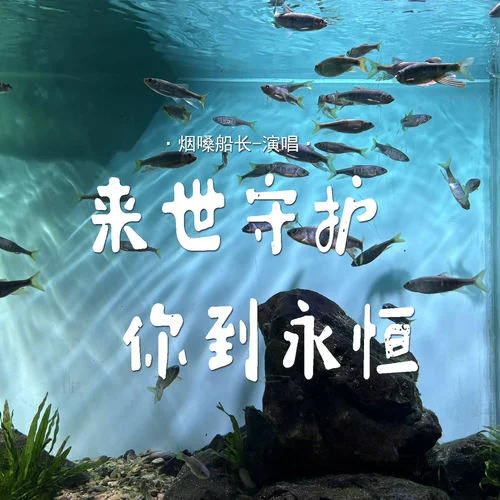 來(lái)世守護(hù)你到永恒-煙嗓船長(zhǎng)