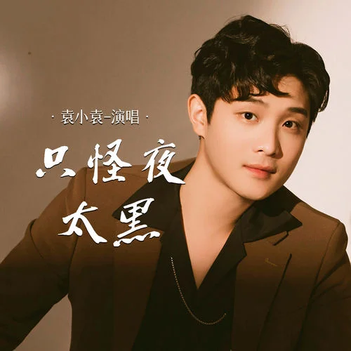 只怪夜太黑 (DJ豪大大版)-袁小袁