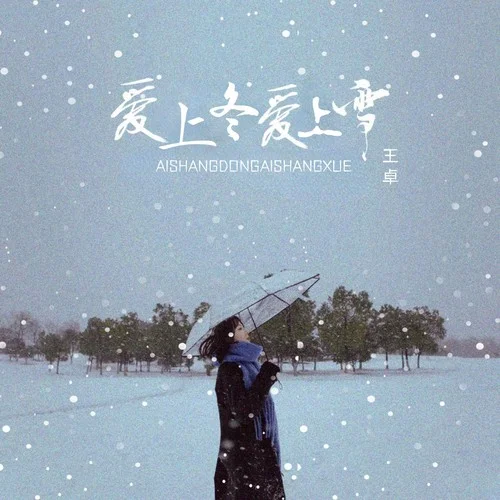 愛上冬 愛上雪-王卓