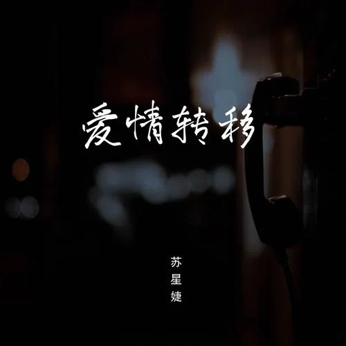 爱情转移(释怀版)-苏星婕
