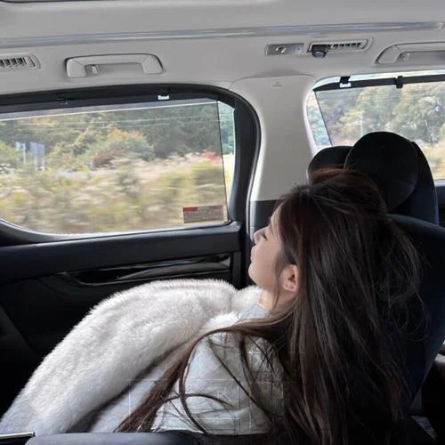 你若三冬(DJ版)-馮紉機