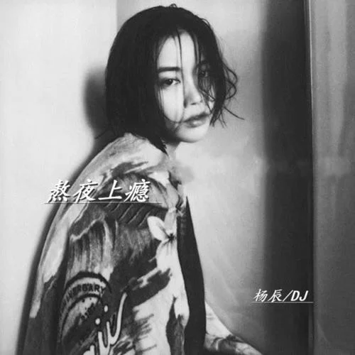 側(cè)臉(DJ版)-楊辰&DJ