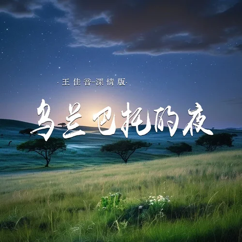 乌兰巴托的夜 (深情版)-王佳音