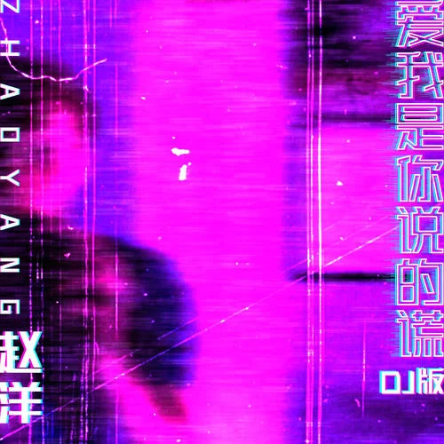 愛我是你說的謊(DJ版)-趙洋