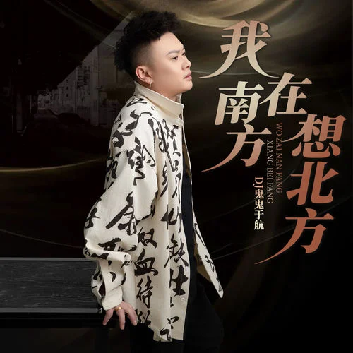 我在南方想北方 (DJ版)-DJ鬼鬼于航