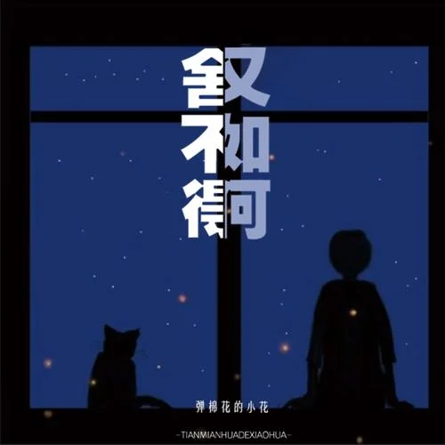 舍不得又如何-彈棉花的小花