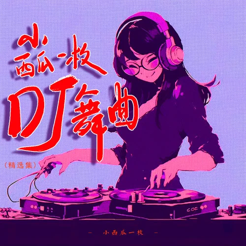 舞女淚（DJ阿能版）-小西瓜一枚