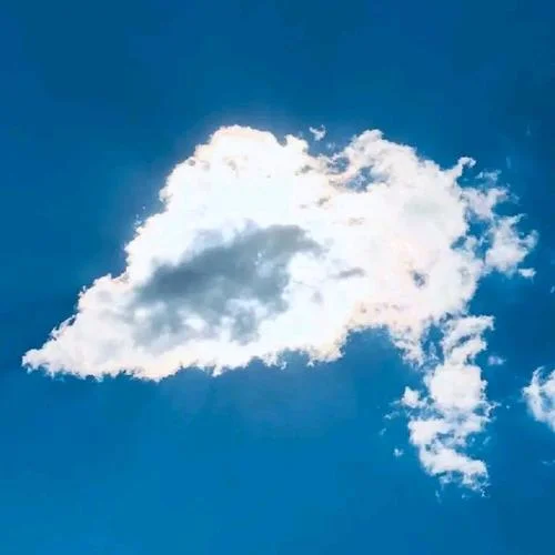 不說（周公：舊版）-Amazons