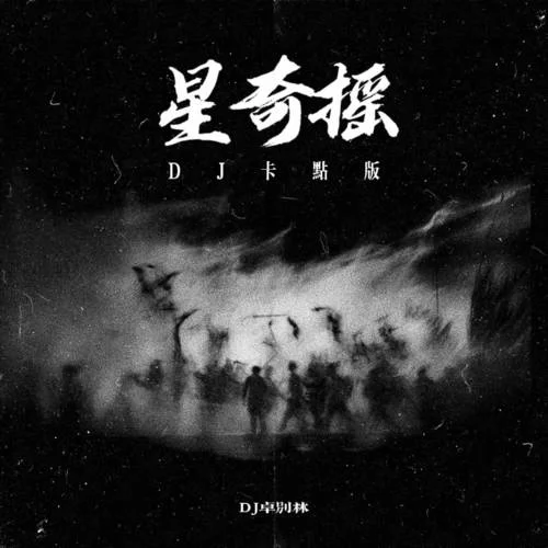 星奇搖 (DJ卡點(diǎn)版)-DJ卓別林
