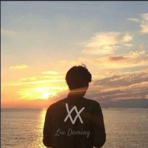 開往早晨的午夜(DJ版)-Liu Daming