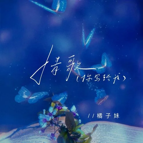 情歌 (你寫給我)-橘子妹