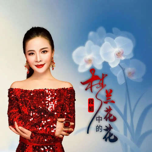 夢中的蘭花花-段娟