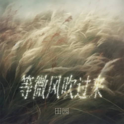 等微风吹过来-田园