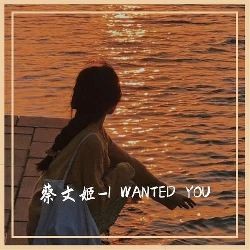 MELANCHOLY(治愈版)-Various Artists