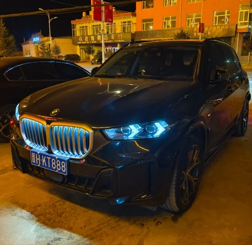 西律東斗（青海搖百大版）-李干嘛